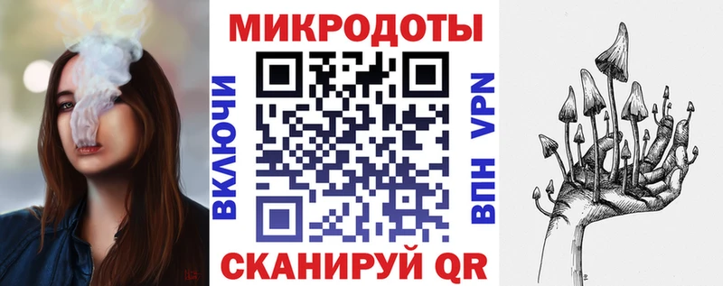 гидра как зайти  Удачный  Псилоцибиновые грибы Cubensis 